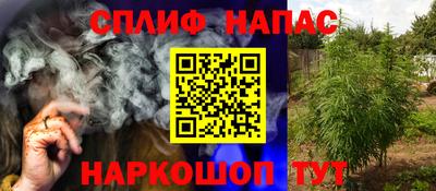 PSILOCYBIN Пугачёв